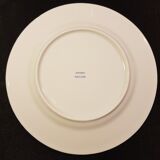 9 Porcelain dessert plates