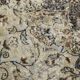 7x9 old antique anatolian turkish rug 289x206cm