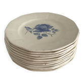 Set of 11 Digoin flat plates, blue rose patterns