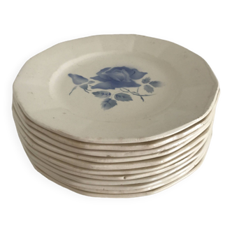 Set of 11 Digoin flat plates, blue rose patterns