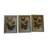 Three butterfly frames