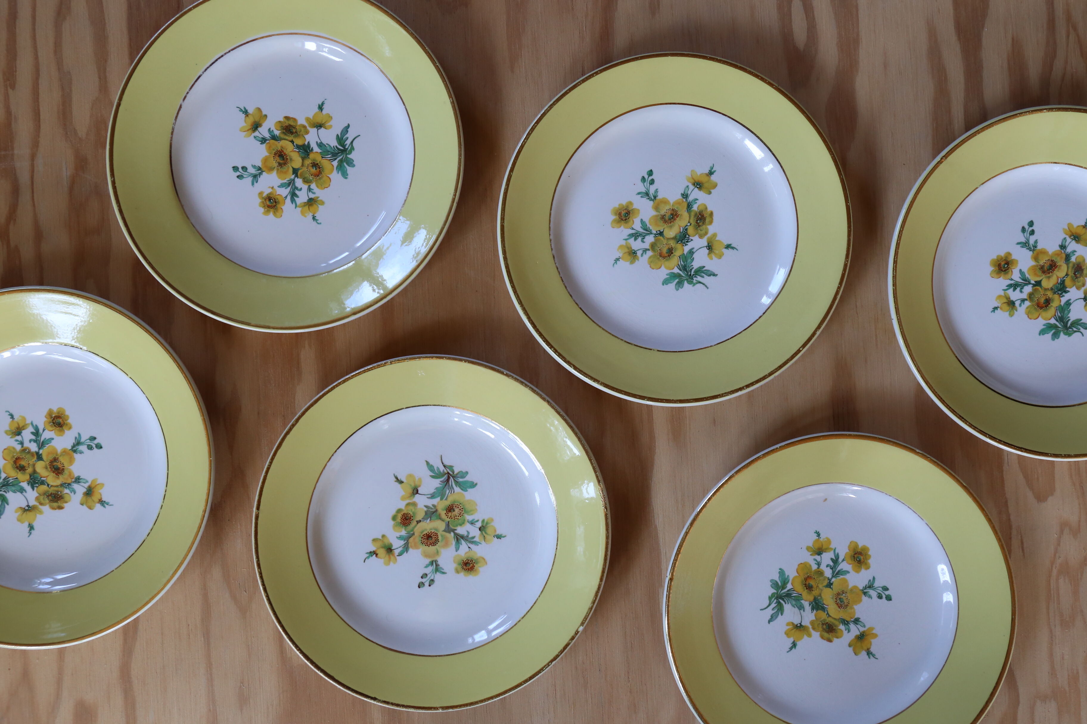 6 old plates Digoin & Sarreguemines