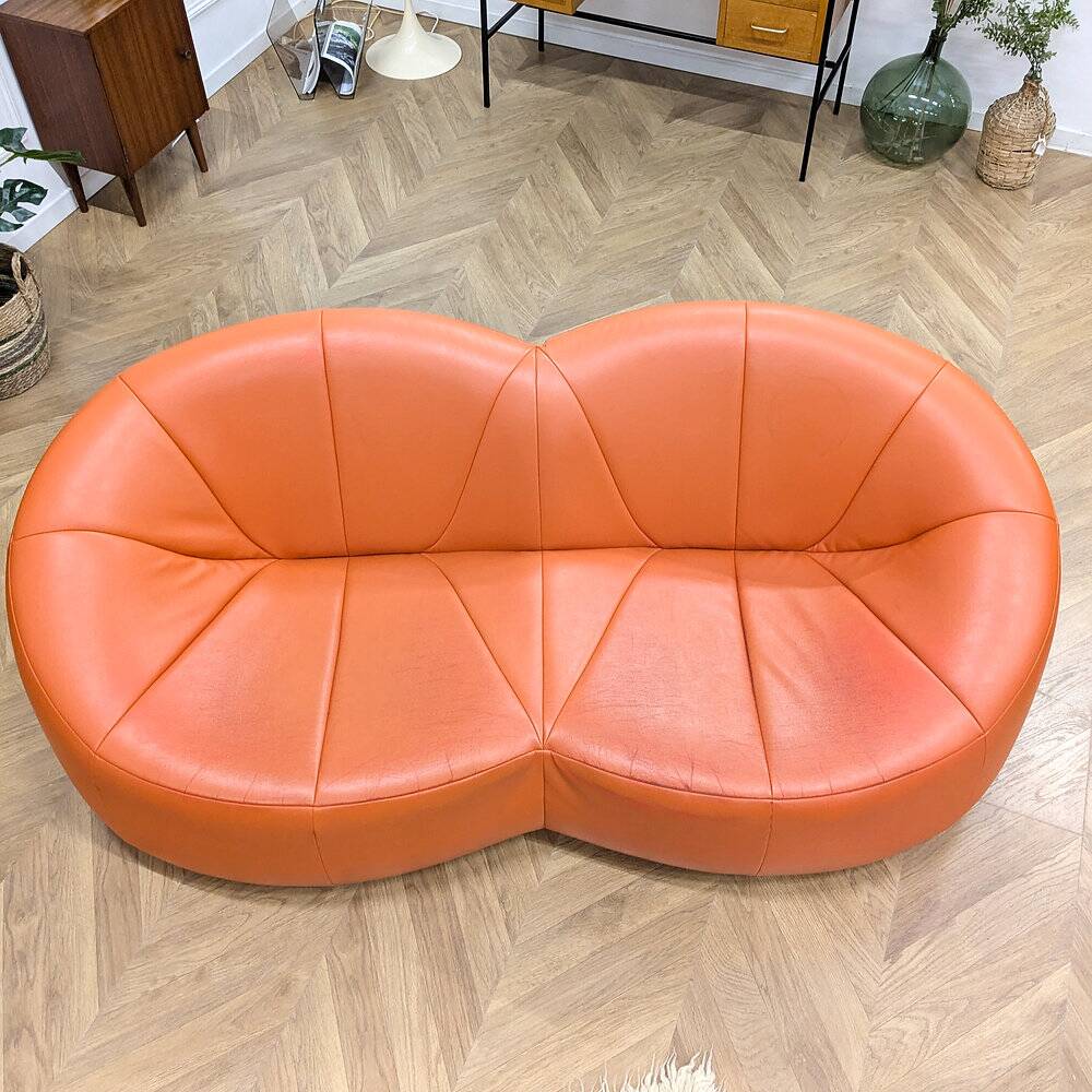 Pumpkin orange canapé