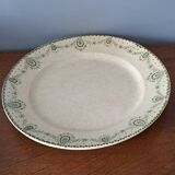 Dish