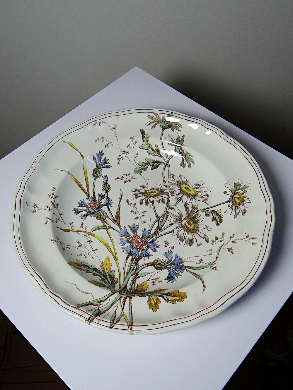 Antique Longchamp shallow dish with polychrome daisies in ironstone.