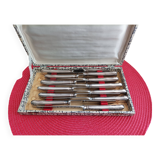 Set of 12 small knives in silver metal and stainless steel from the Ravinet d'Enfer Paris brand