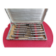 Set of 12 small knives in silver metal and stainless steel from the Ravinet d'Enfer Paris brand
