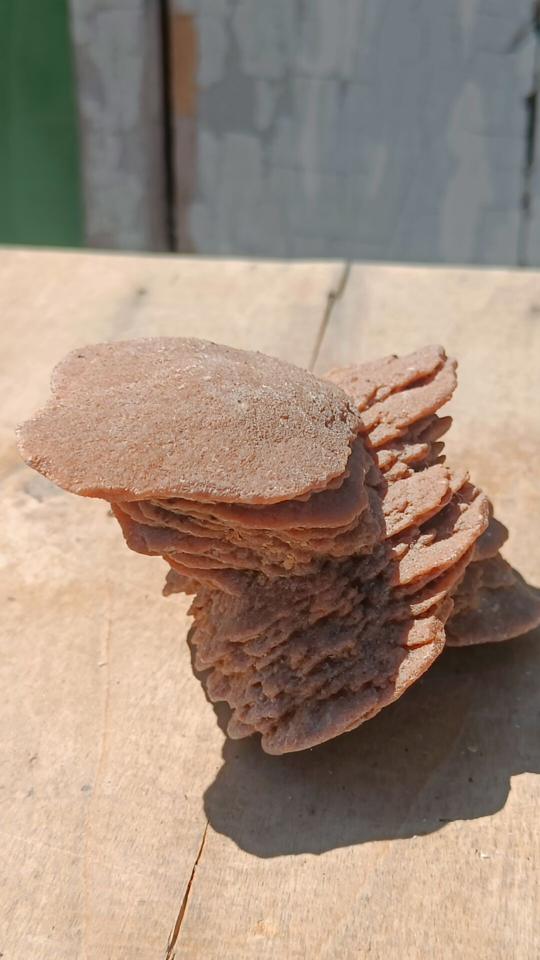 Natural sand rose