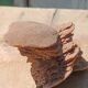 Natural sand rose