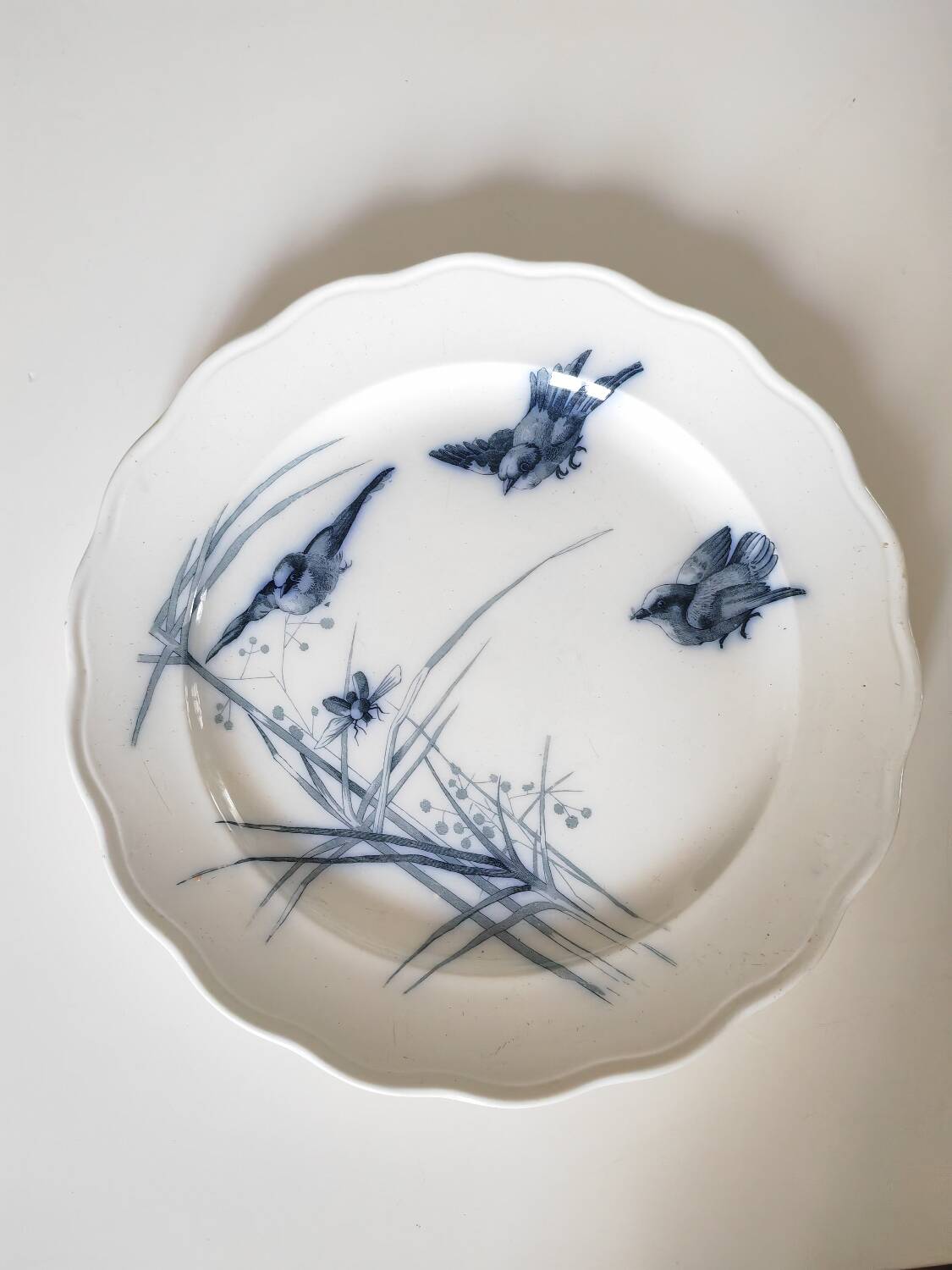 19th century dish bwm&co
