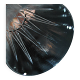 Set of 5 tarn champagne flutes in cut crystal from saint-louis h18.7cm