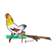 Jeu de tir à la poule Eureka