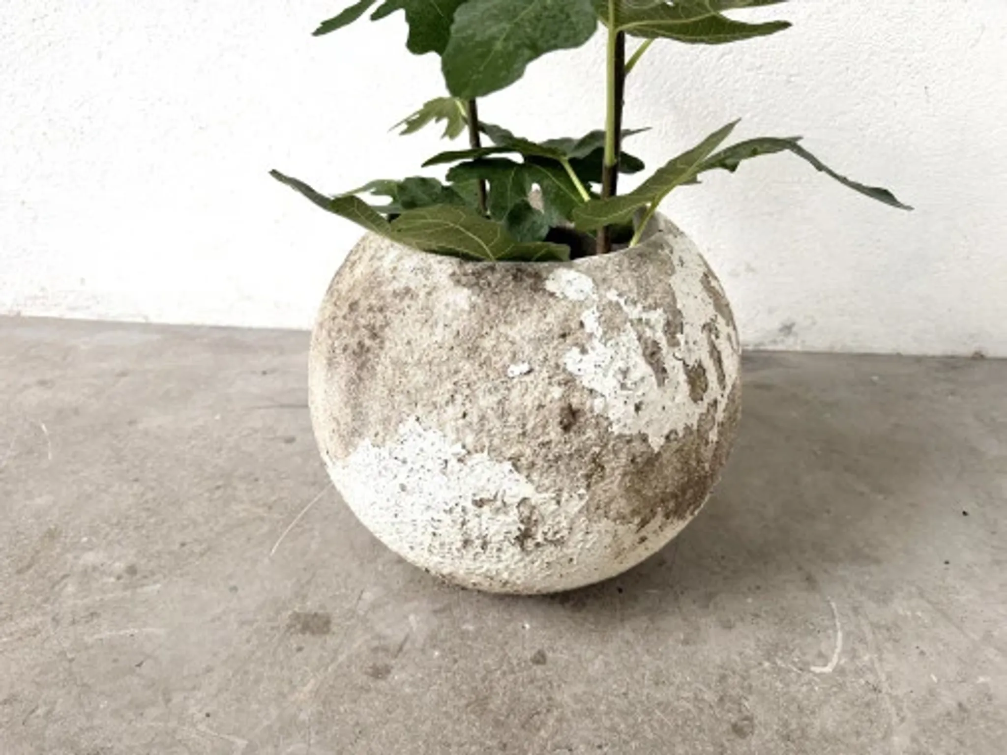 Spherical fibreglass planter, DLG Willy Guhl, 1960s