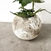Spherical fibreglass planter, DLG Willy Guhl, 1960s