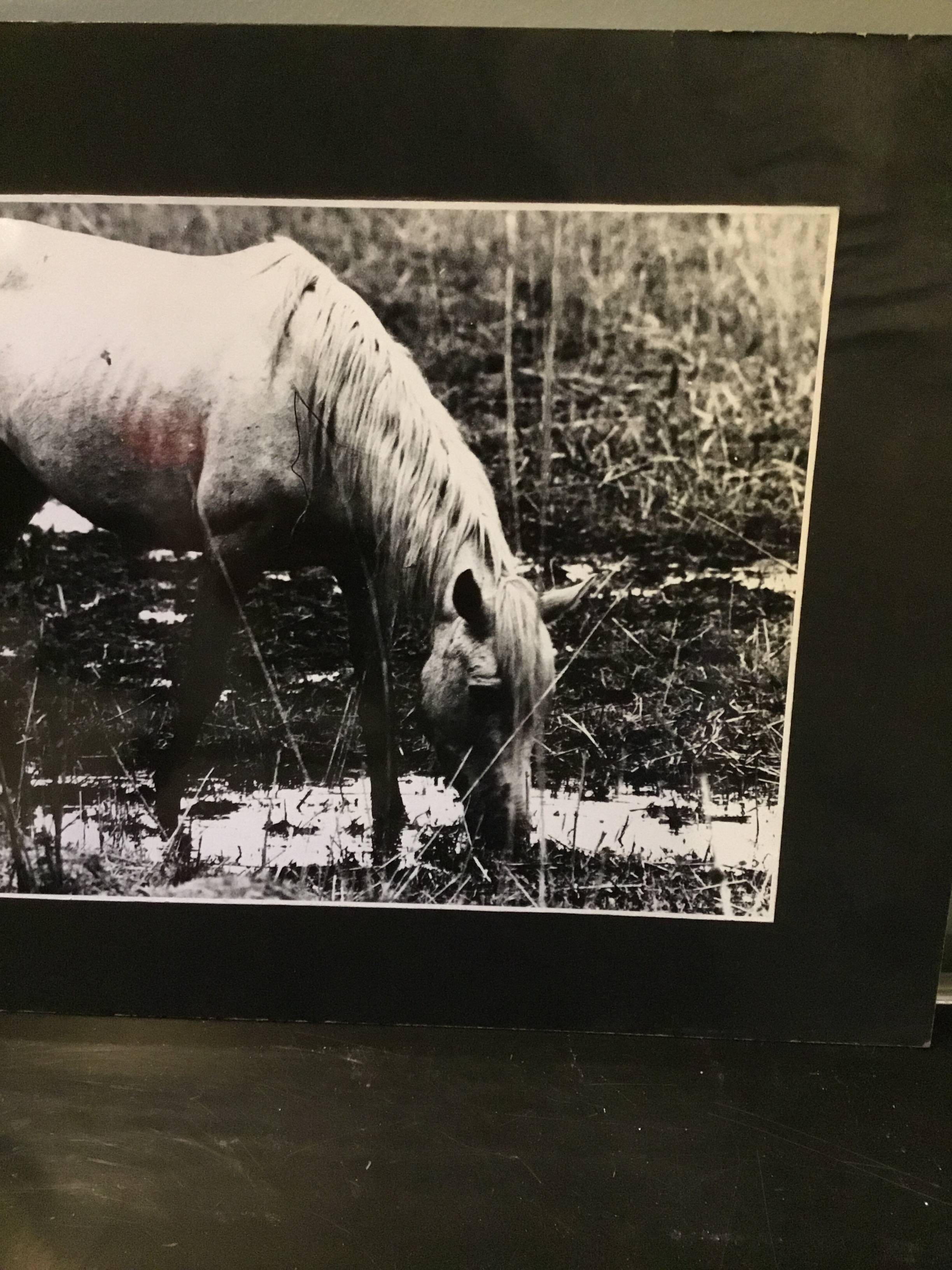 Black and white silver print