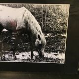 Black and white silver print