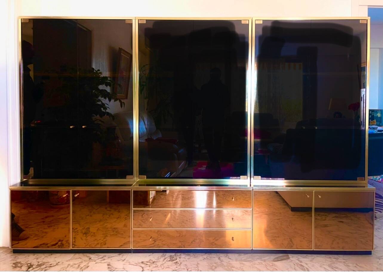 Display cabinet by Renato Zevi