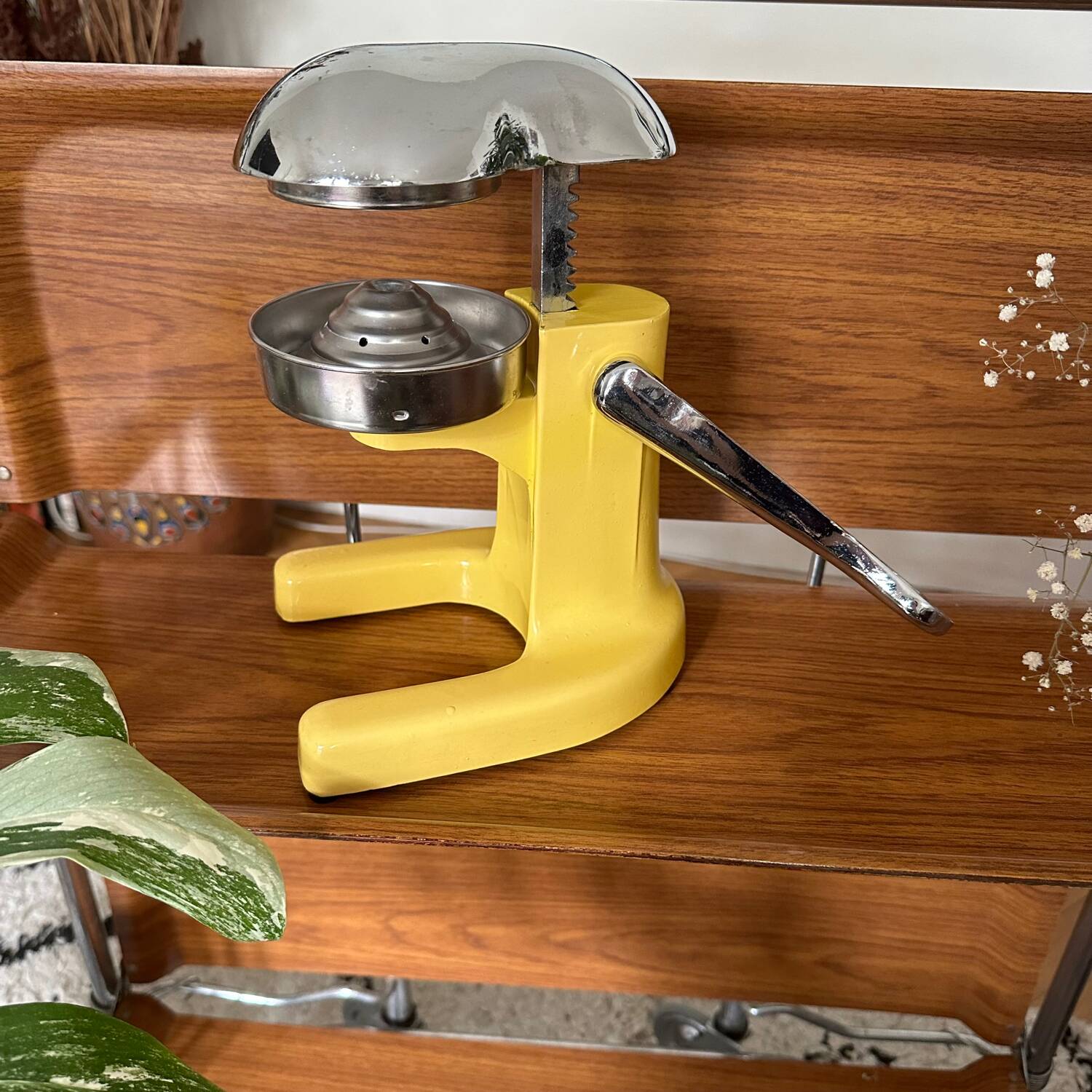 Vintage manual citrus press