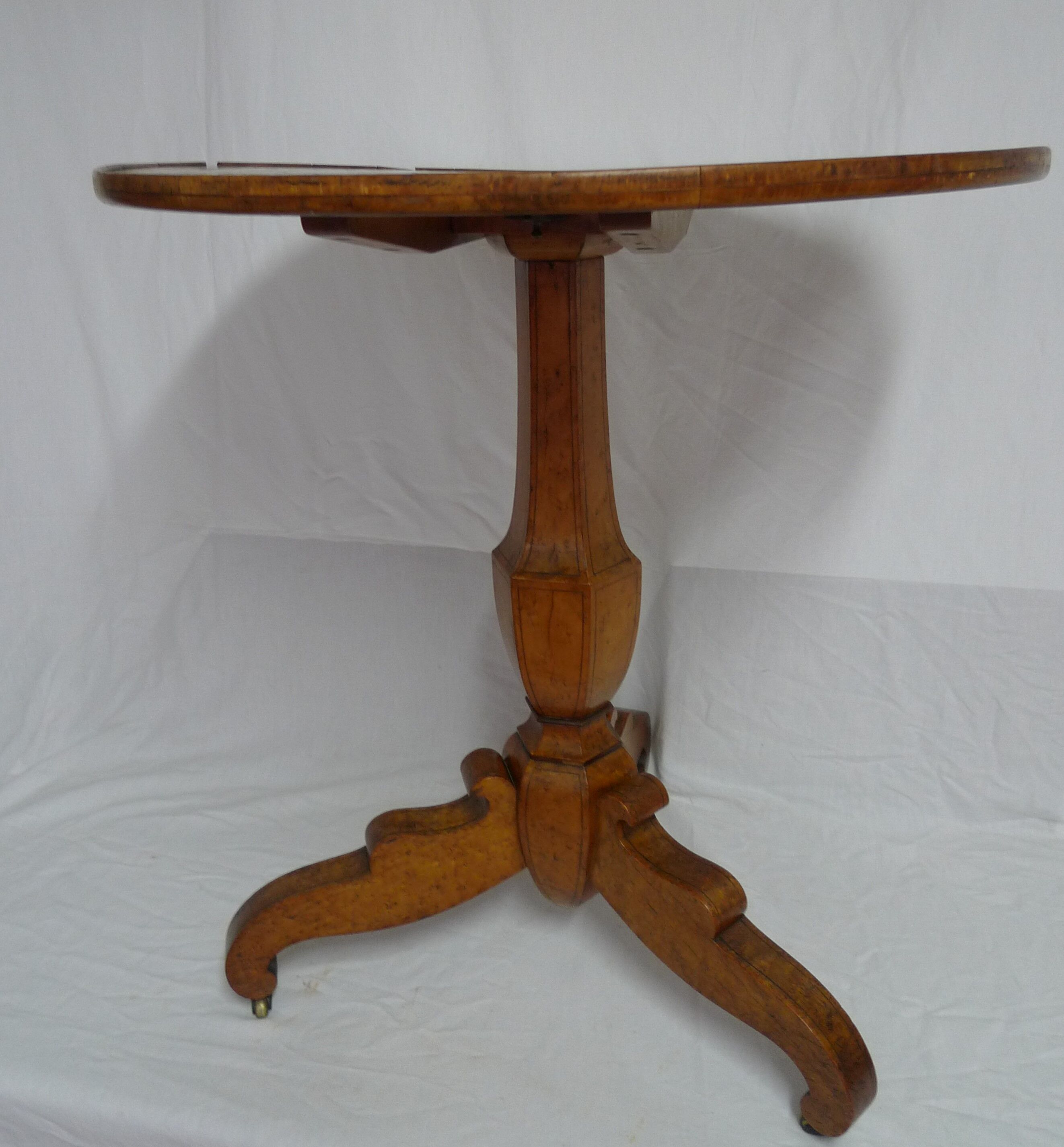 Tipping gerdone lemon tree magnifying glass