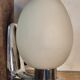Egg applique