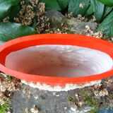 Vase "coral"