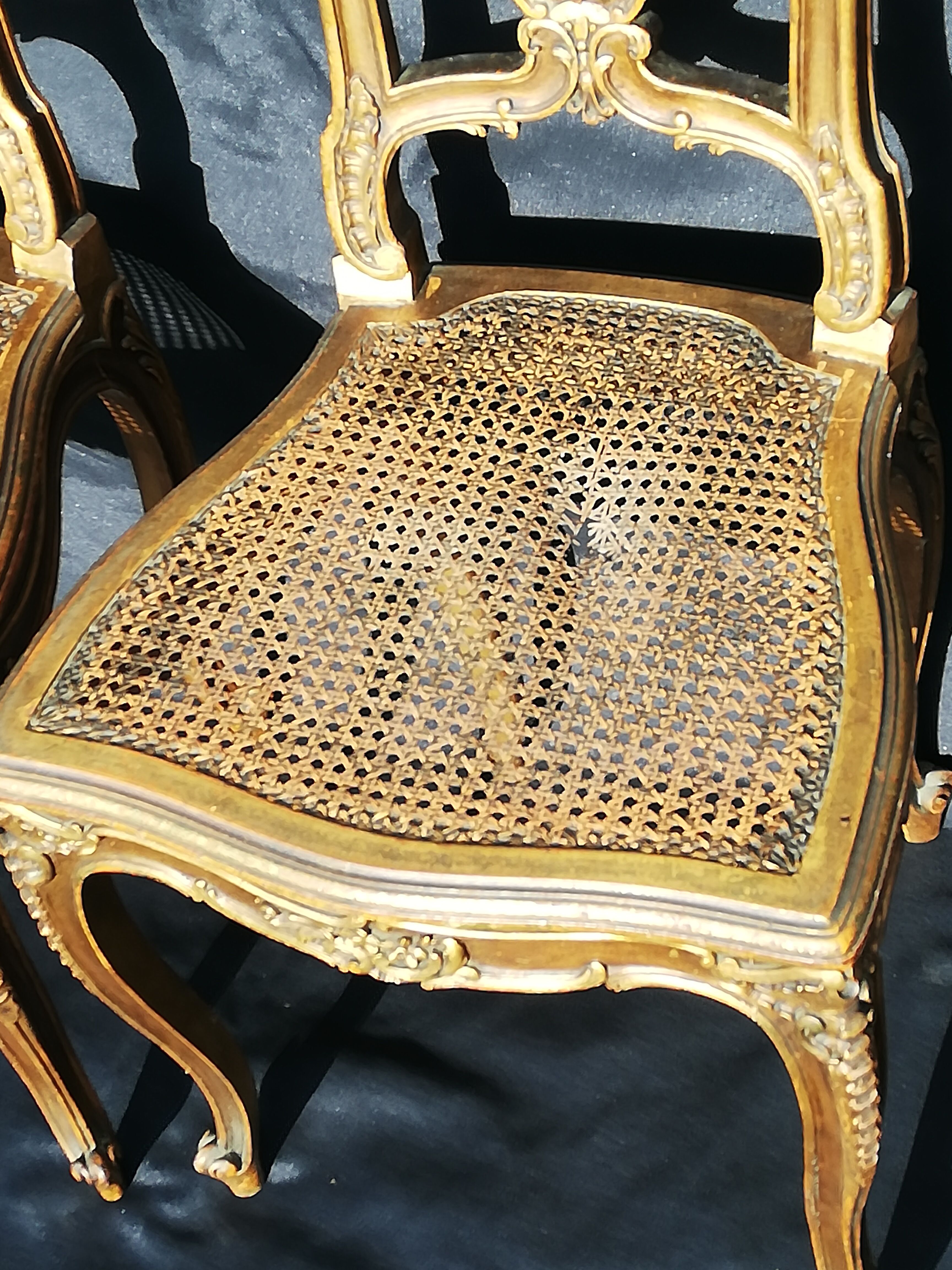 Pair of old canne chairs in gilded wood