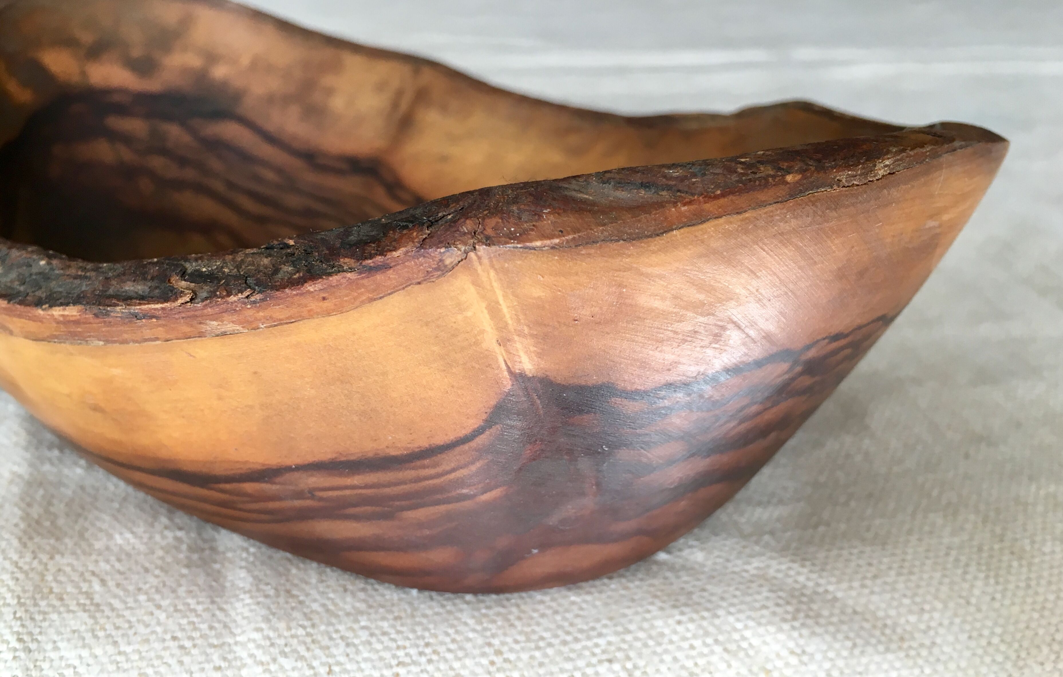 Olive wood cutting