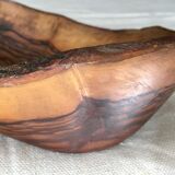 Olive wood cutting