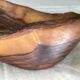 Olive wood cutting