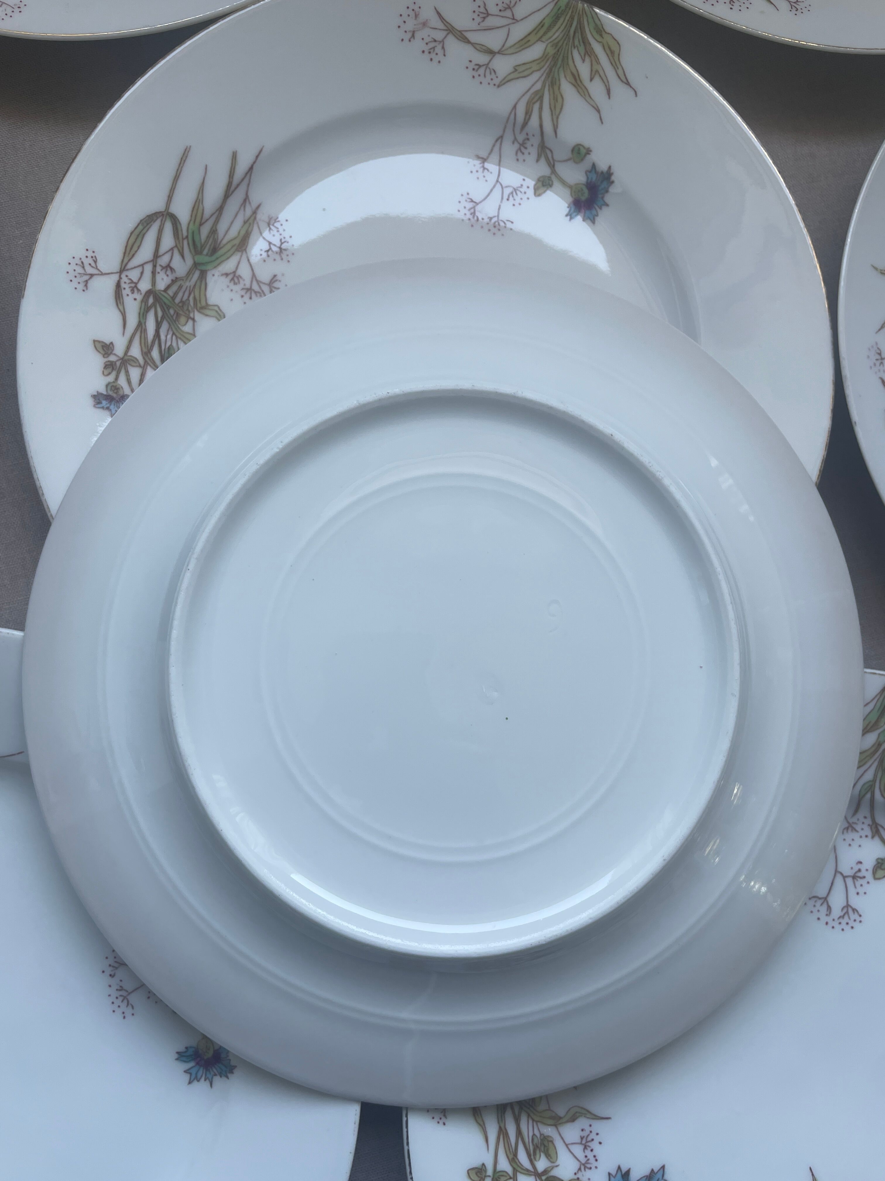 8 vintage plates with romantic chic country cornflower decoration.