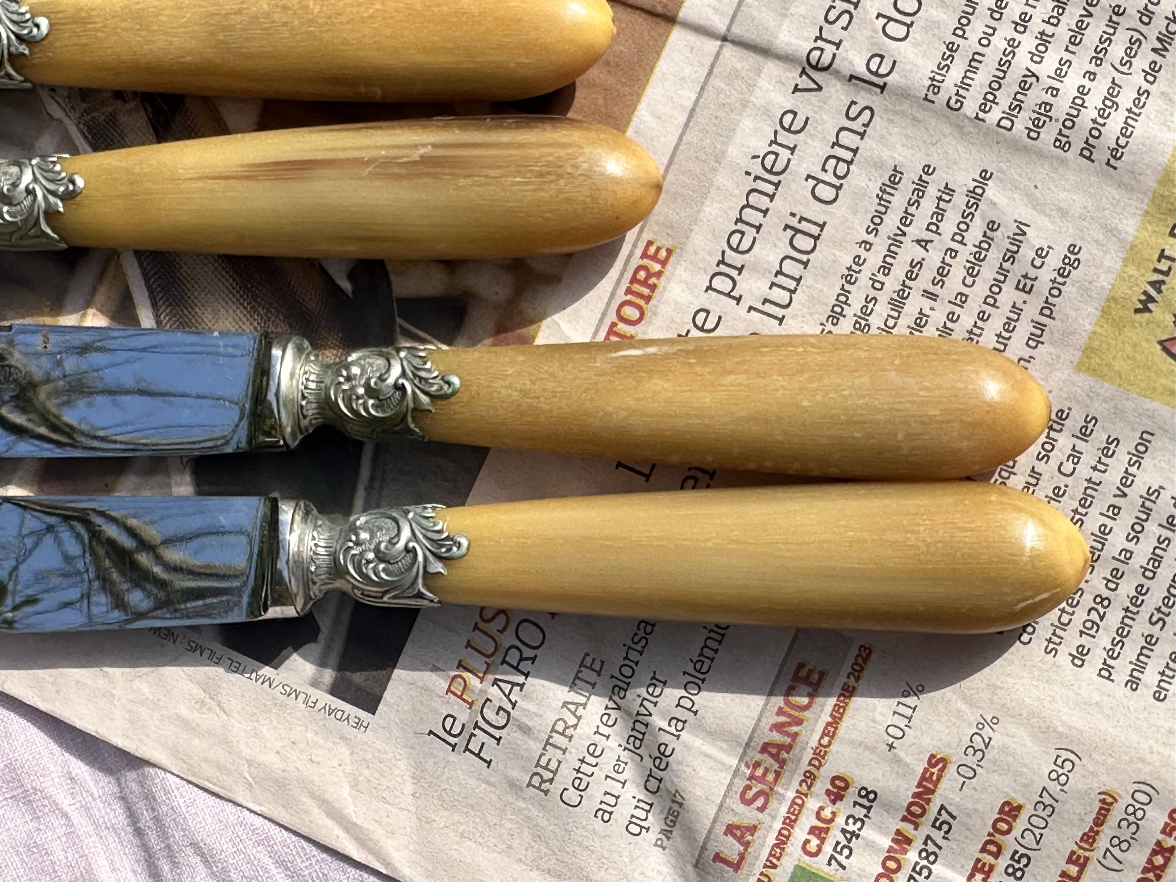 Set of 12 Antique Art Nouveau Table Knives - Tableware