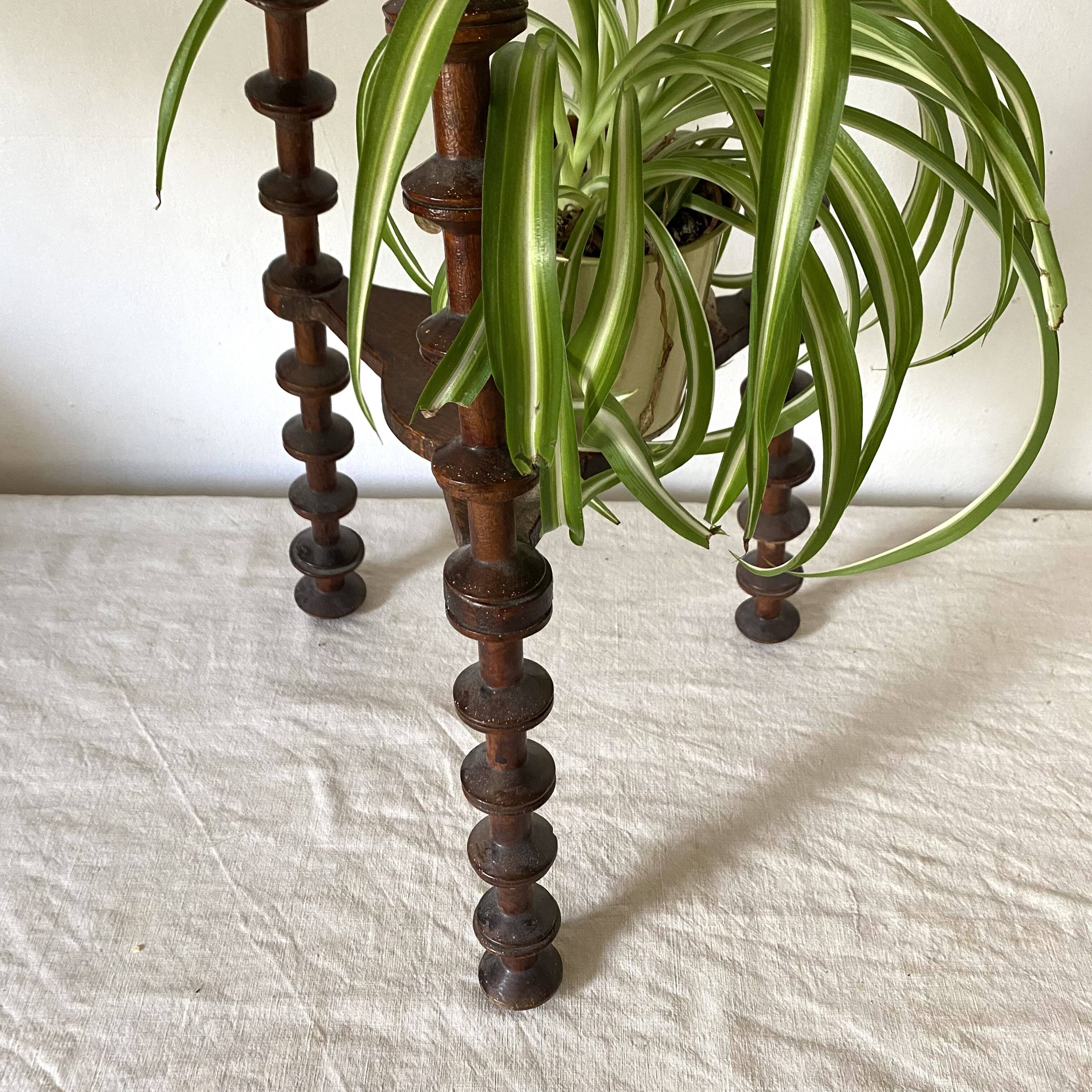 Old stand for reel plant holders 1900