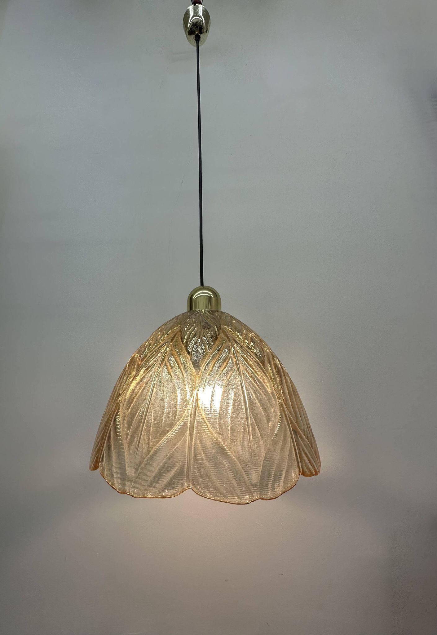 Peil & Putzer glass leaf hanging lamp , 1970’s