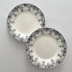 2 dessert plates ironstone Bourgeois Grand Dépôt Art Nouveau