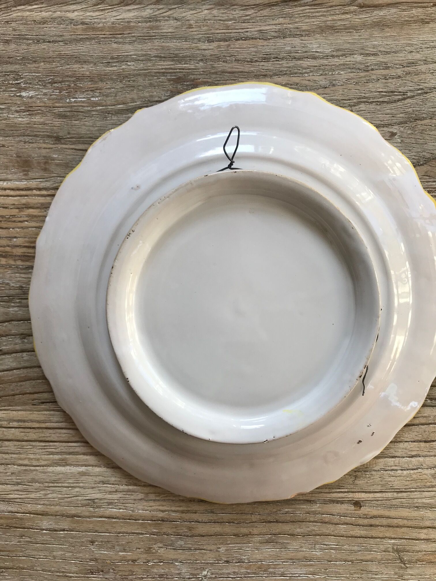 Flower plate to hang