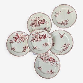 Dessert plates Favori Sarreguemines pink