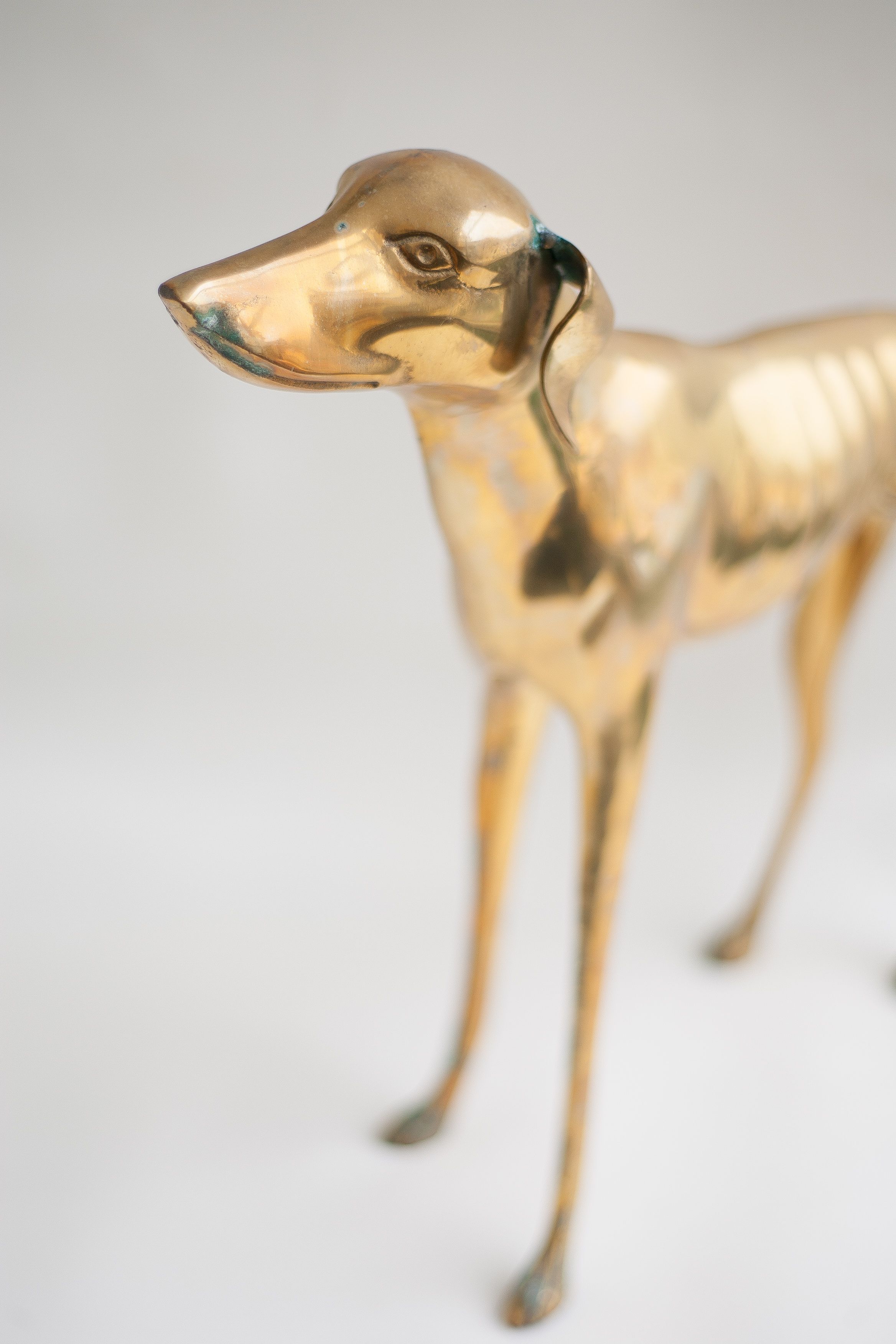 Brass dog