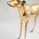 Brass dog