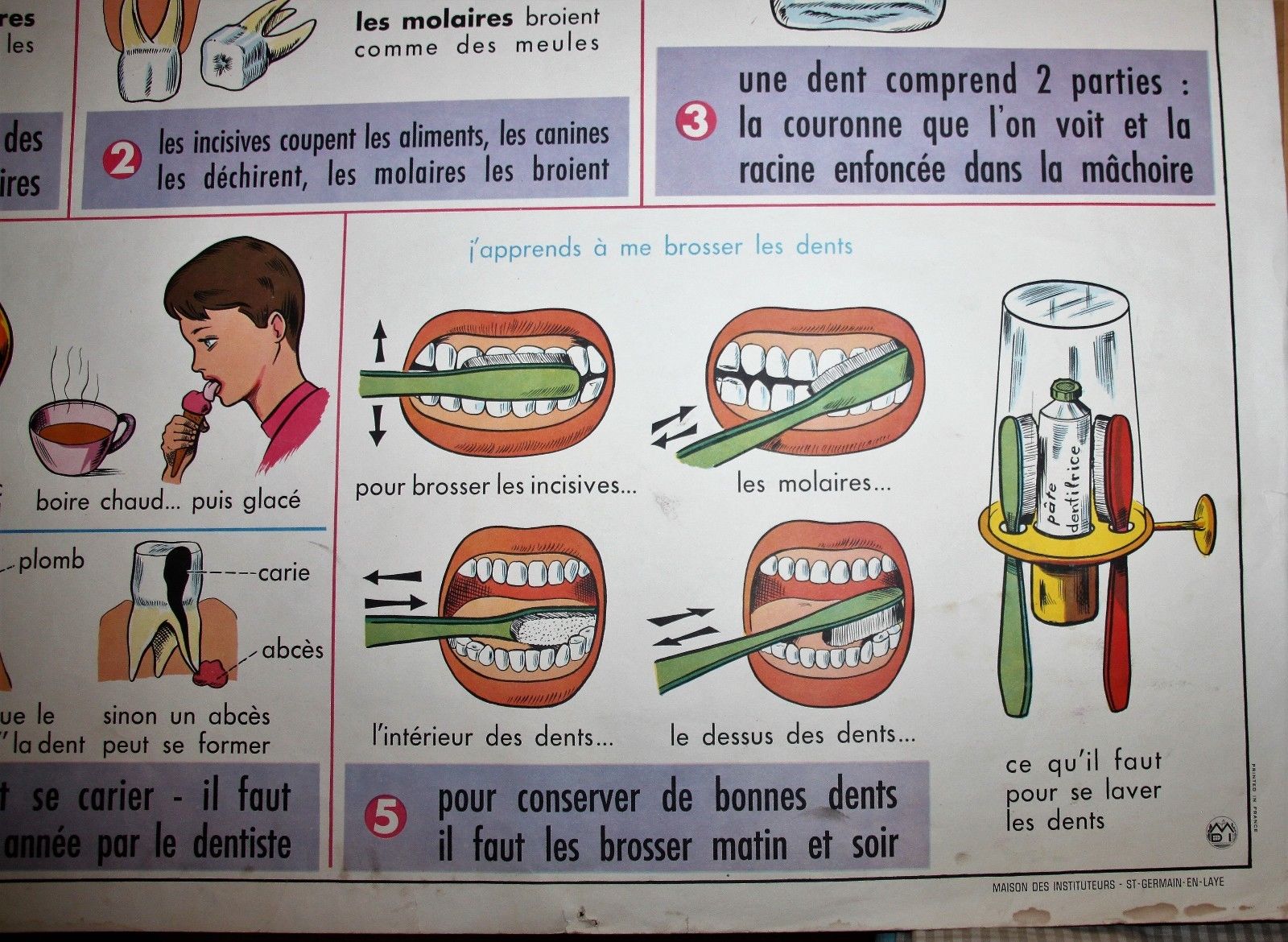 Affiche scolaire vintage MDI Nos dents et les yeux 19 et 20