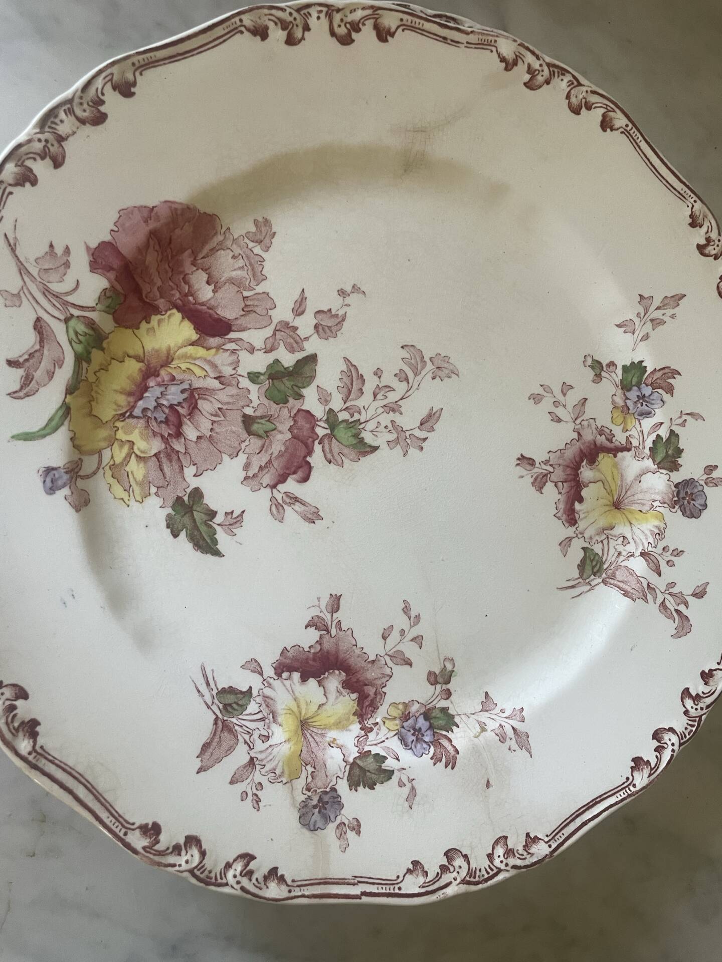 Set of five old flat plates Bisto England Model Anson Sp