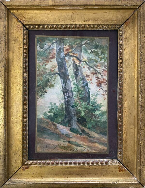 Tableau Aquarelle XIX° ''Arbres'' signé + cadre et verre d'époque
