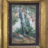 Tableau Aquarelle XIX° "Arbres" signé + cadre et verre d'époque