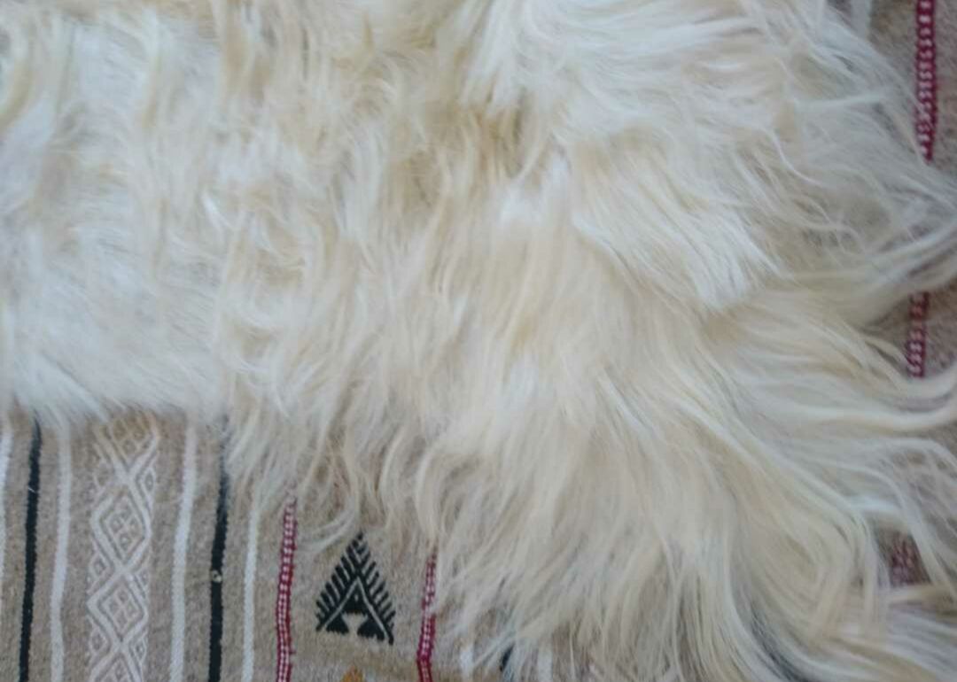 Natural black and white goat skin 92x47cm