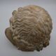 Bust in flat woman renaissance late 19th hair drapes