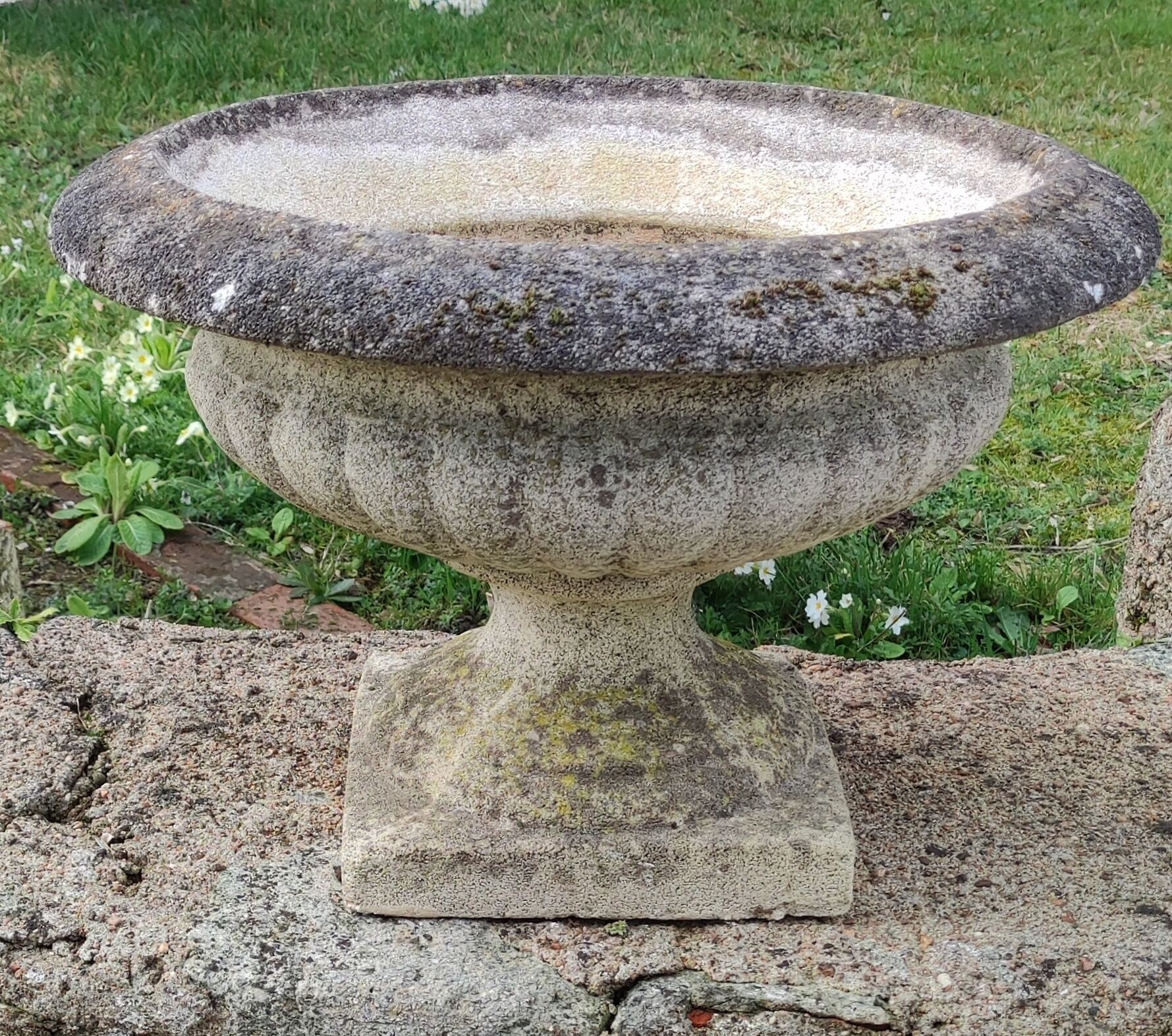 Ancient Medici in reconstituted stone