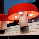 Brumbury Table Lamps by Luigi Massoni for Harvey Guzzini 1969