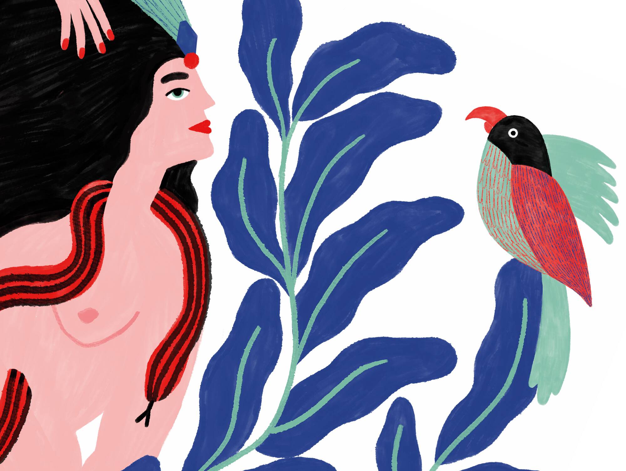 Jungle - illustration a4