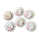 6 flat plates views of shabby pink orient