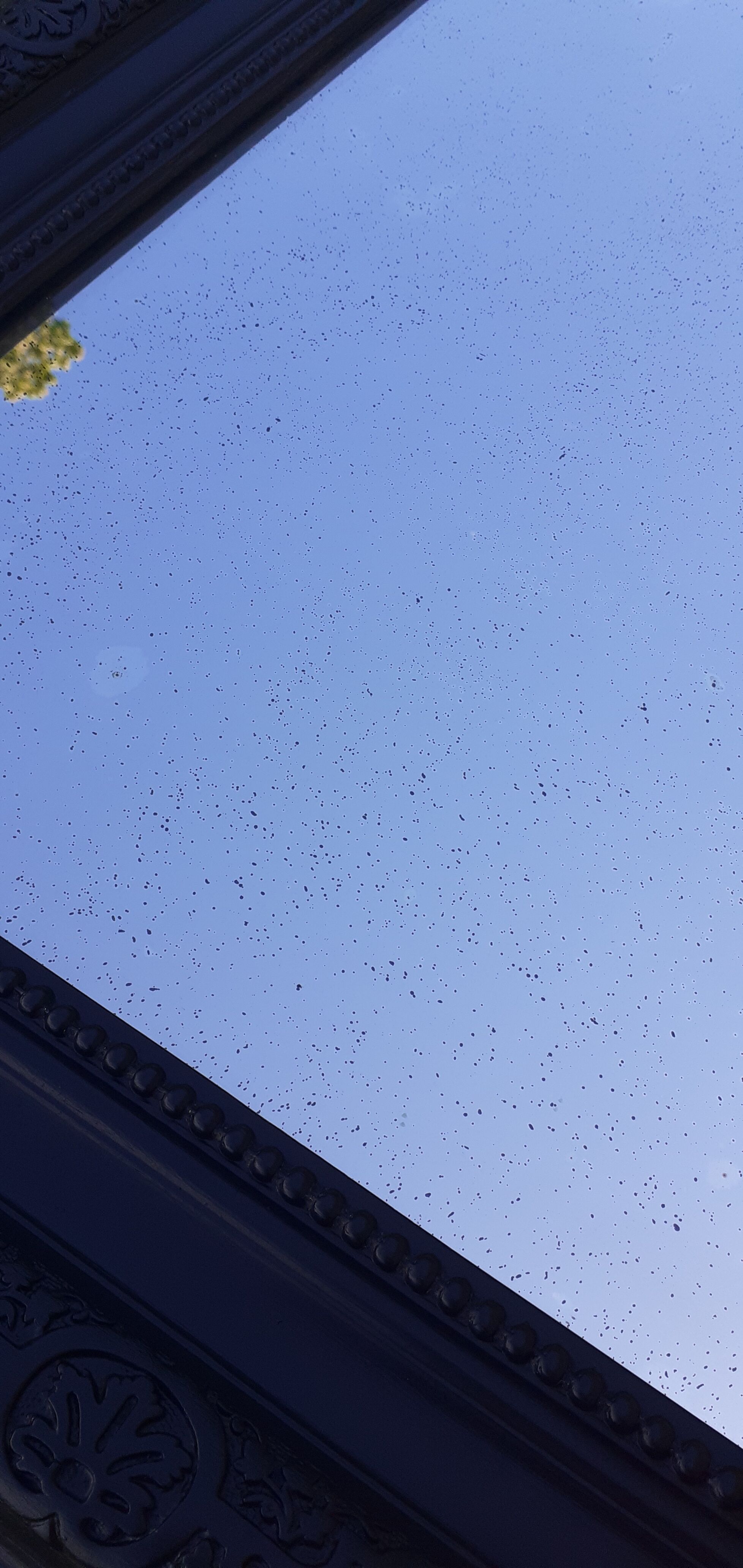 Mirror style Napoleon 3 old black 93x136cm