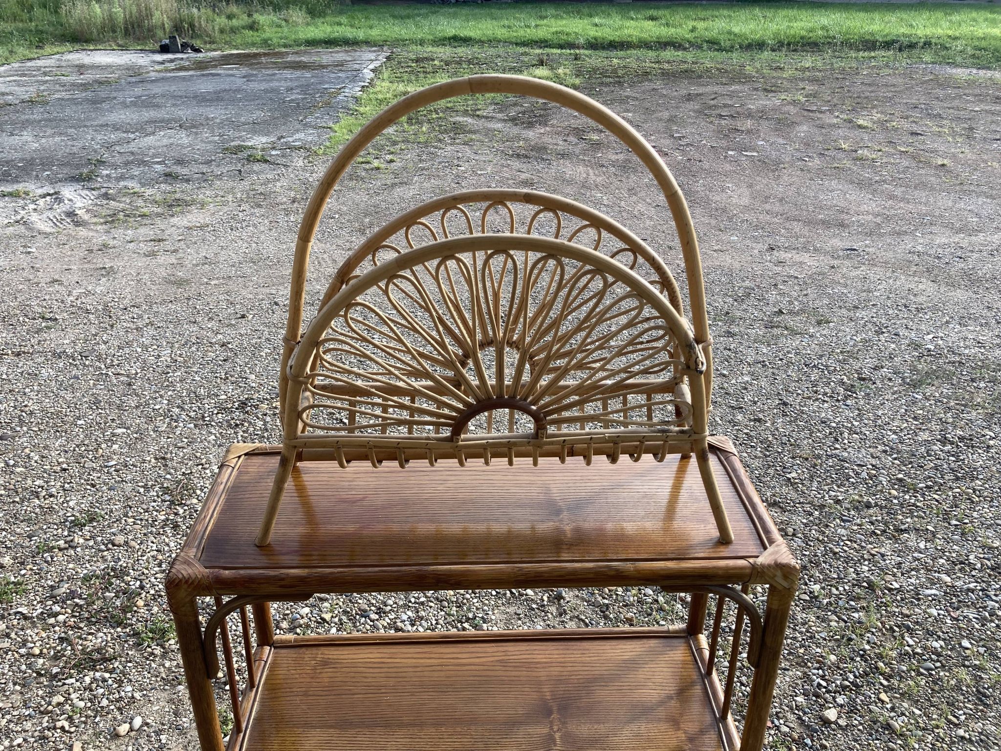 Rattan magazine door